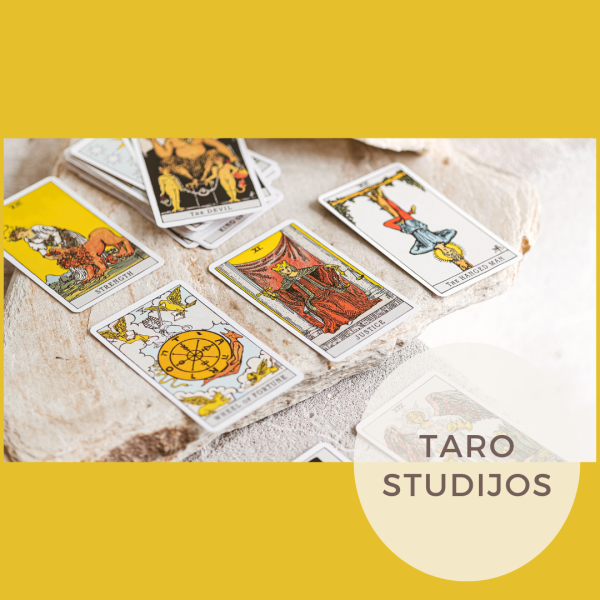 TARO STUDIJOS